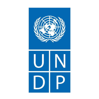 UNDP flag