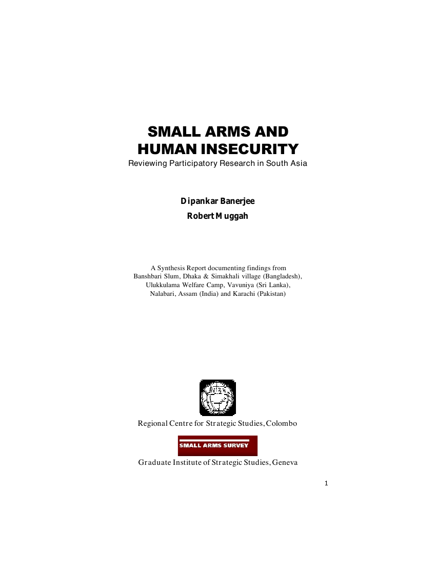 SAS-RCSS 2002 human insecurity